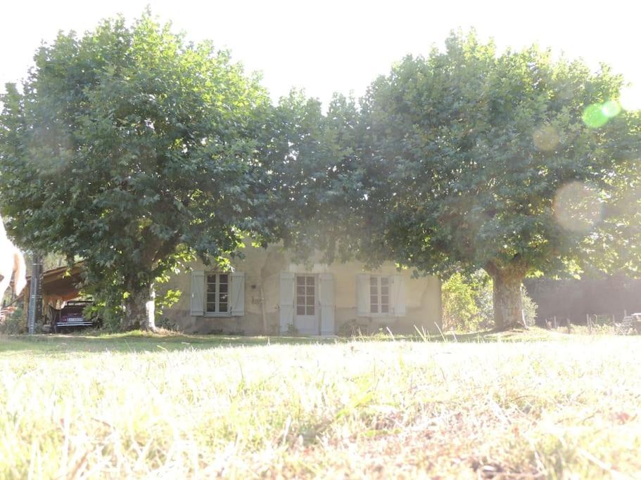 Entre Chevreuil Et Cerf Villa Belin-Beliet Kültér fotó